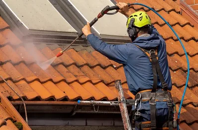 Démoussage et hydrofuge de toiture à Plumieux